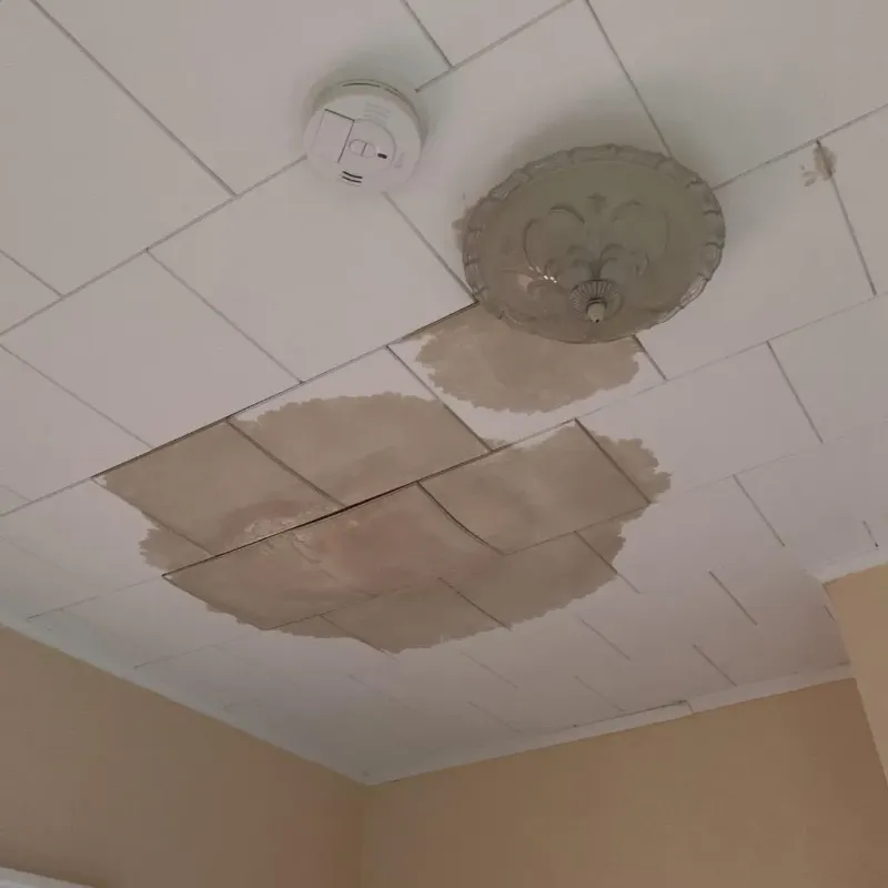 Ceiling Water Damage Repair in Duryea, PA