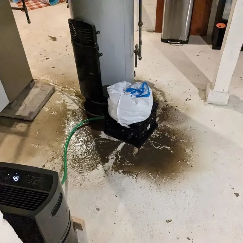 Sewage Backup Cleanup Service in Duryea, PA